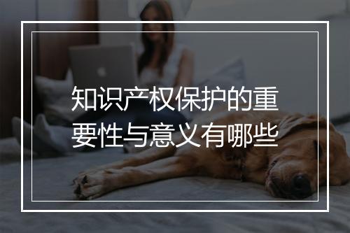 知识产权保护的重要性与意义有哪些