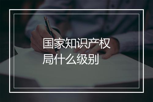 国家知识产权局什么级别