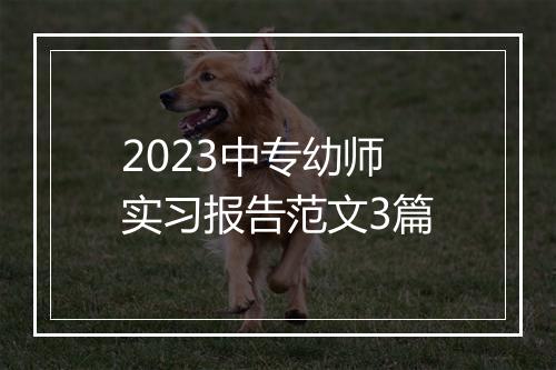 2023中专幼师实习报告范文3篇