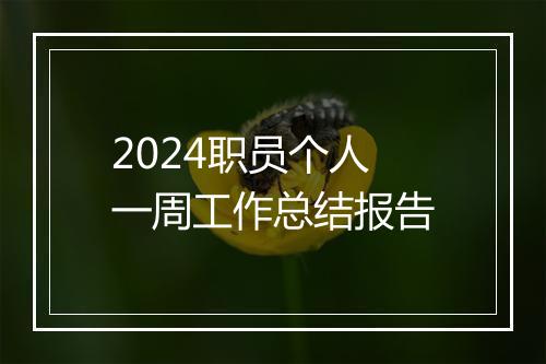 2024职员个人一周工作总结报告