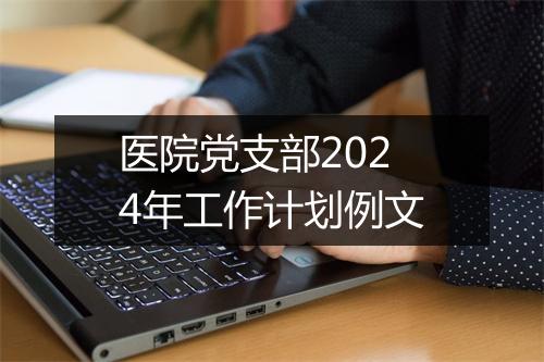 医院党支部2024年工作计划例文