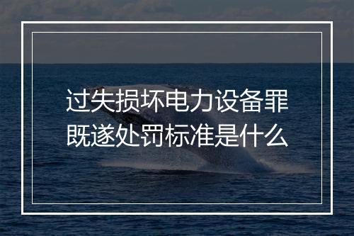 过失损坏电力设备罪既遂处罚标准是什么