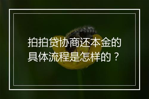 拍拍贷协商还本金的具体流程是怎样的？