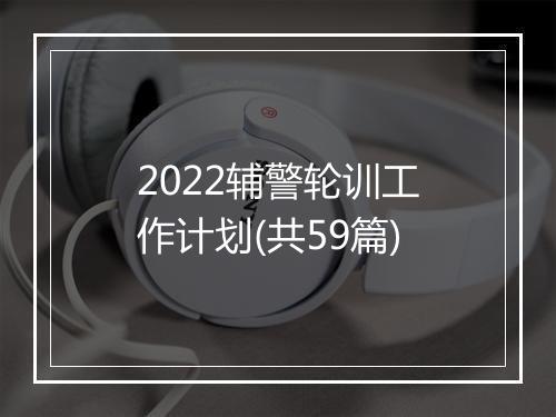 2022辅警轮训工作计划(共59篇)