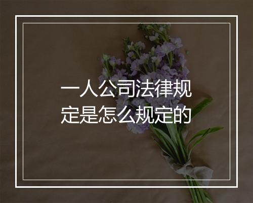 一人公司法律规定是怎么规定的
