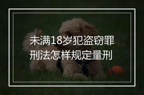 未满18岁犯盗窃罪刑法怎样规定量刑