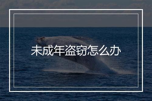 未成年盗窃怎么办