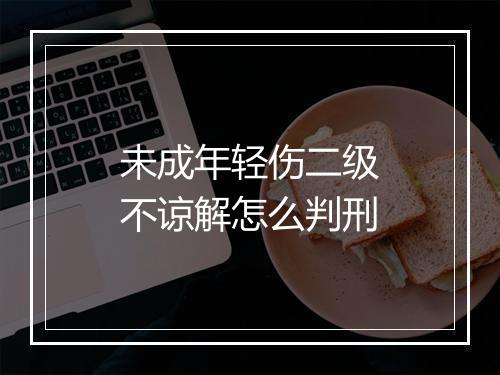 未成年轻伤二级不谅解怎么判刑