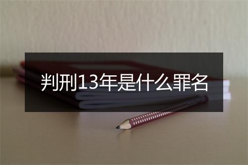 判刑13年是什么罪名