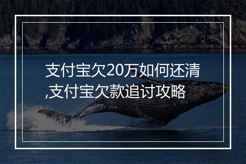 支付宝欠20万如何还清,支付宝欠款追讨攻略