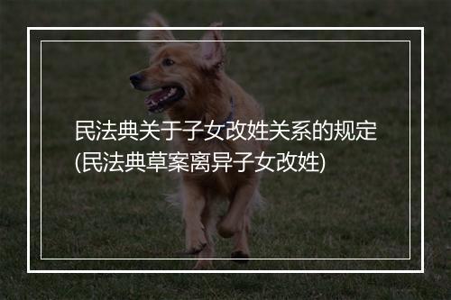 民法典关于子女改姓关系的规定(民法典草案离异子女改姓)