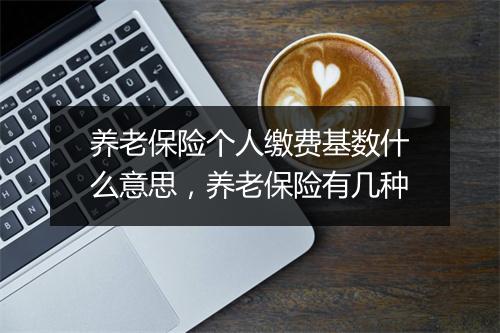 养老保险个人缴费基数什么意思，养老保险有几种