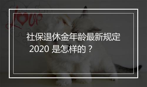 社保退休金年龄最新规定 2020 是怎样的？