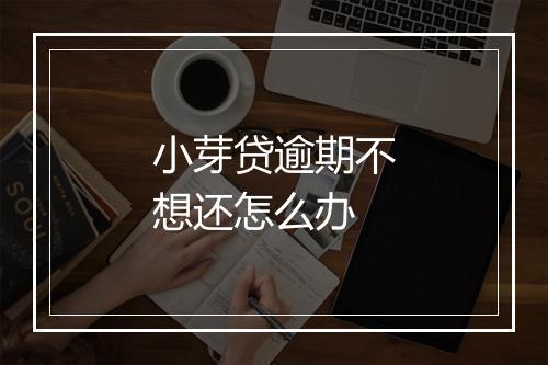 小芽贷逾期不想还怎么办