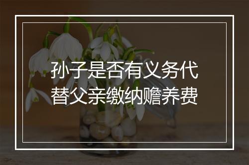 孙子是否有义务代替父亲缴纳赡养费