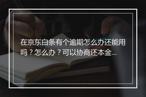 在京东白条有个逾期怎么办还能用吗？怎么办？可以协商还本金吗？