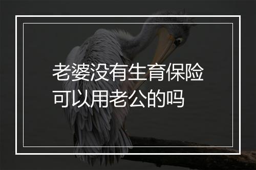 老婆没有生育保险可以用老公的吗