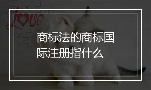 商标法的商标国际注册指什么