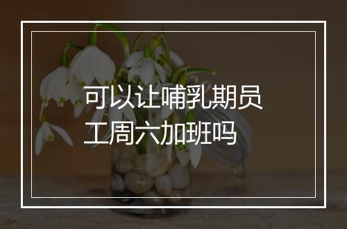 可以让哺乳期员工周六加班吗