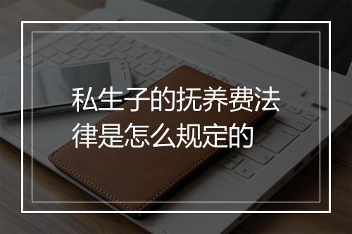 私生子的抚养费法律是怎么规定的