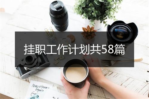 挂职工作计划共58篇