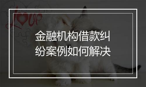 金融机构借款纠纷案例如何解决