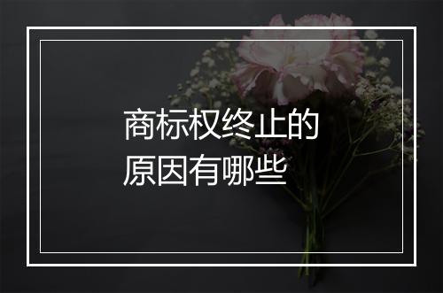 商标权终止的原因有哪些