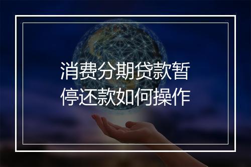 消费分期贷款暂停还款如何操作