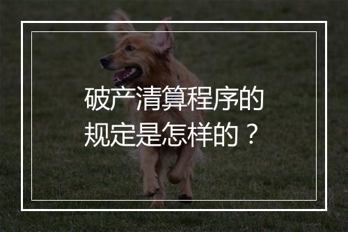 破产清算程序的规定是怎样的？