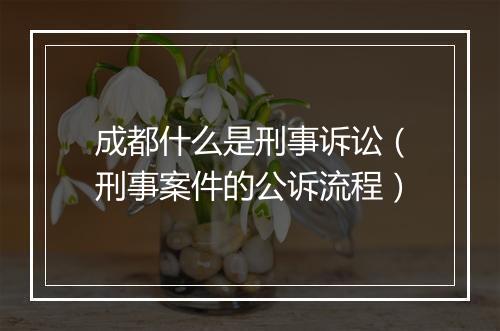 成都什么是刑事诉讼（刑事案件的公诉流程）