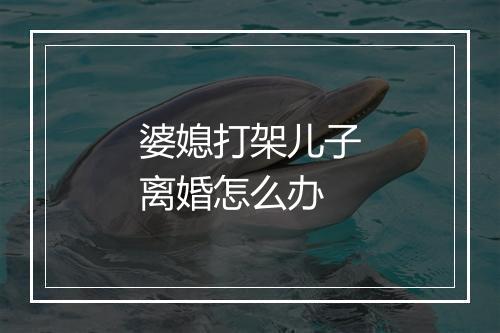 婆媳打架儿子离婚怎么办