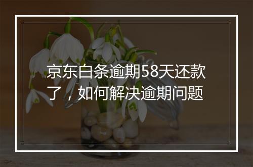 京东白条逾期58天还款了，如何解决逾期问题