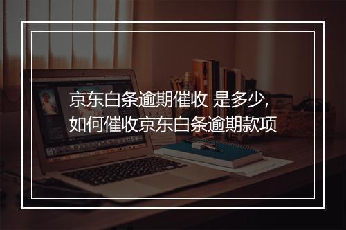 京东白条逾期催收 是多少,如何催收京东白条逾期款项