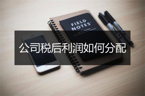 公司税后利润如何分配