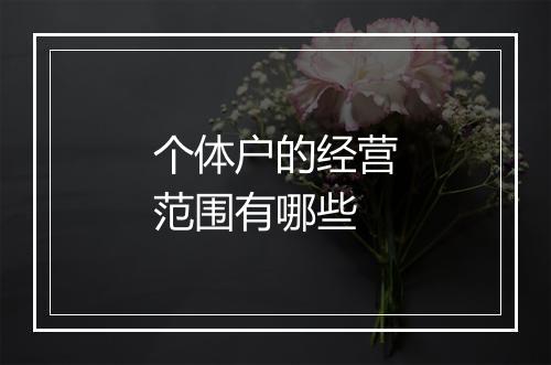 个体户的经营范围有哪些