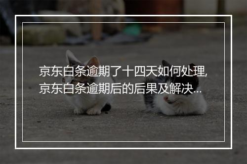京东白条逾期了十四天如何处理,京东白条逾期后的后果及解决办法