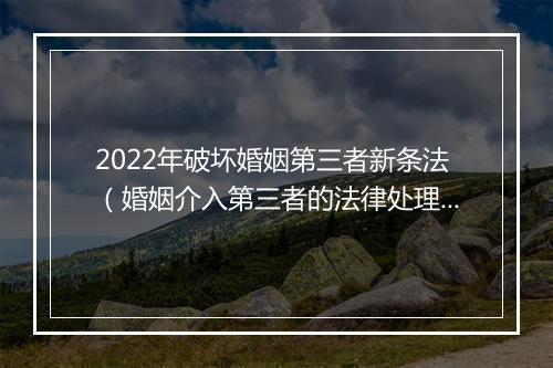 2022年破坏婚姻第三者新条法（婚姻介入第三者的法律处理）