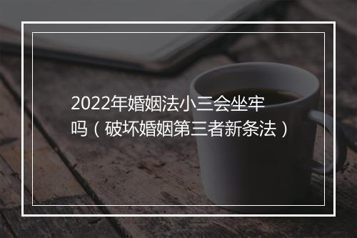 2022年婚姻法小三会坐牢吗（破坏婚姻第三者新条法）