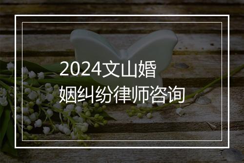 2024文山婚姻纠纷律师咨询