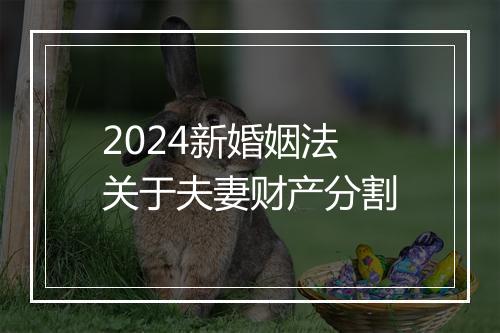 2024新婚姻法关于夫妻财产分割