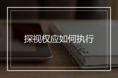 探视权应如何执行