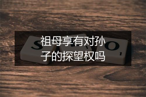 祖母享有对孙子的探望权吗