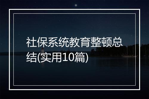 社保系统教育整顿总结(实用10篇)