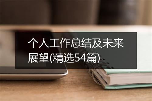 个人工作总结及未来展望(精选54篇)