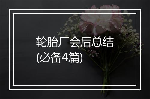 轮胎厂会后总结(必备4篇)