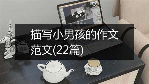 描写小男孩的作文范文(22篇)