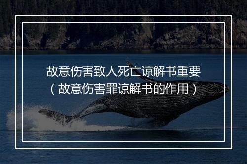 故意伤害致人死亡谅解书重要（故意伤害罪谅解书的作用）