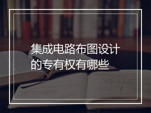 集成电路布图设计的专有权有哪些