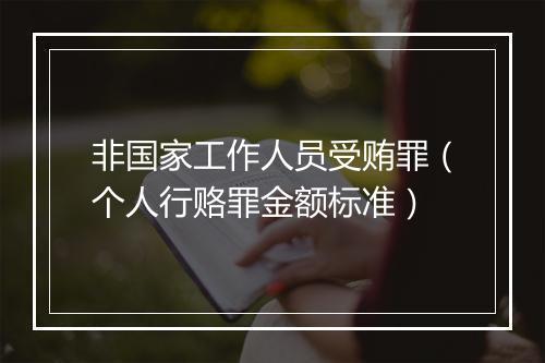 非国家工作人员受贿罪（个人行赂罪金额标准）