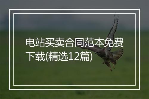电站买卖合同范本免费下载(精选12篇)